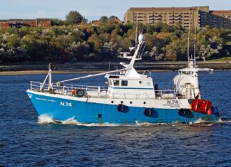 Czy trzeba wymieniać tarcze razem z klockami?