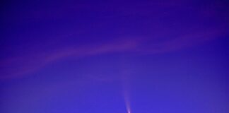 Ile pali paliwa Citroen c3?