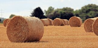 Jaka jest rola łożyska?