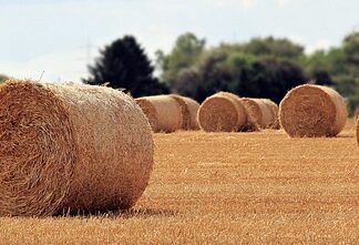 Jaka jest rola łożyska? Jaka jest rola łożyska?