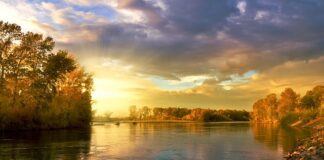 Dlaczego koło kręci się do przodu a felga w tył?