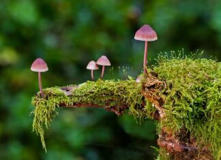 Jakie są rodzaje łożysk? Jakie są rodzaje łożysk?