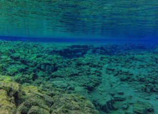 Co to jest luz promieniowy? Co to jest luz promieniowy?