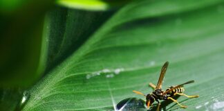 Czy w motocyklu musi być odblask?