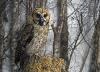 Jak często trzeba jeździć hybryda? Jak często trzeba jeździć hybryda?