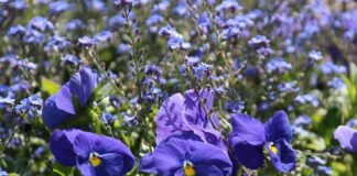 Co ile wymienia się wahacze?