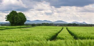 Jaka łyżka do opon?