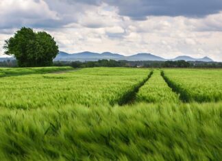 Jaka łyżka do opon? Jaka łyżka do opon?