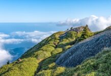 Jaka jest różnica między lutowaniem a spawaniem?