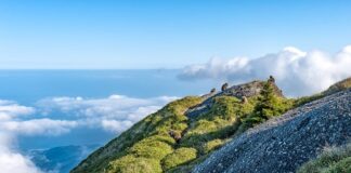 Jaka jest różnica między łańcuchem 3 8 a 325?