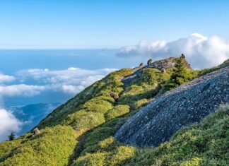 Jaka jest różnica między łańcuchem 3 8 a 325?