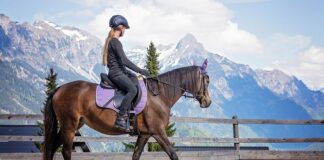 Jak przygotować się do długiej jazdy rowerem?