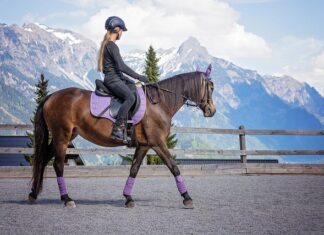 Jak przygotować się do długiej jazdy rowerem?