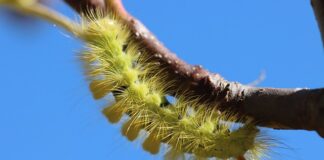 Ile amper powinien mieć prostownik?