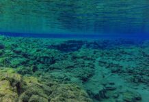 Co to jest luz osiowy?