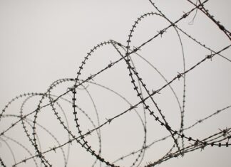 Ile kosztuje zaplatanie kół? Ile kosztuje zaplatanie kół?