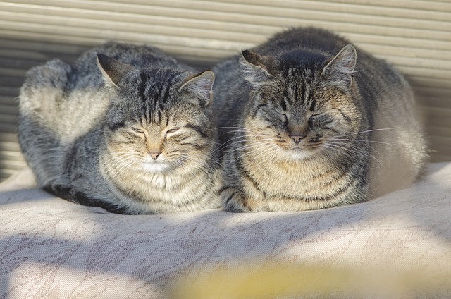 Dlaczego koło się grzeje? Dlaczego koło się grzeje?
