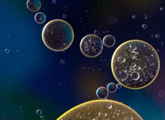 Co ile wymiana oleju w VW Polo? Co ile wymiana oleju w VW Polo?