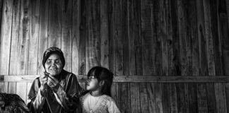 Na co dzielimy łożyska?