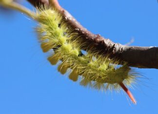Jaki prostownik warto kupić? Jaki prostownik warto kupić?