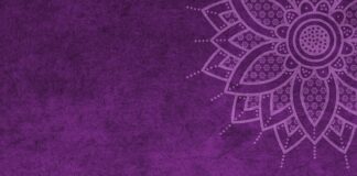 Jaki jest mandat za brak łańcuchów?