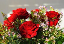 Jaki jest najdroższy jacht na świecie?