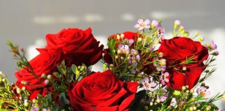 Jaki jest najdroższy jacht na świecie?