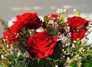 Jaki jest najdroższy jacht na świecie? Jaki jest najdroższy jacht na świecie?