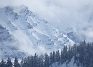 Czy trzeba robić przegląd łodzi?