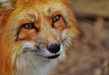 Jak działa wielokrążek?