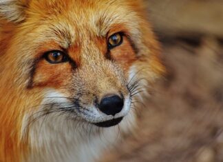 Jak działa wielokrążek?