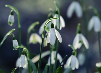 Czym różnią się luty twarde i miękkie? Czym różnią się luty twarde i miękkie?