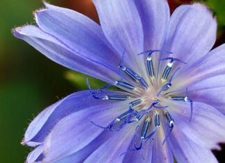 Jaki zamiennik zasilacza do laptopa?