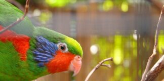 Czym powinny charakteryzować się stale łożyskowe?