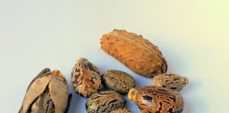 Co ile wymiana oleju w samochodzie?