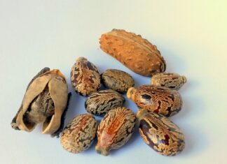 Co ile wymiana oleju w samochodzie?