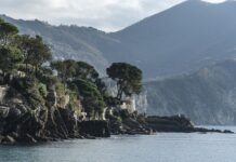 Ile kosztuje wymiana łożyska w samochodzie?