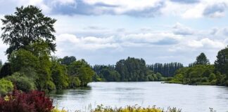 Jak sprawdzić stan półosi?