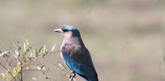 Kiedy stosuje się łożyska C3?