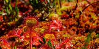 Jak używać łyżek do opon rowerowych?