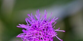 Ile kosztuje wycięcie tłumika?