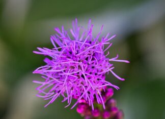 Ile kosztuje wycięcie tłumika? Ile kosztuje wycięcie tłumika?