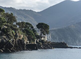 Ile kosztuje wymiana tulei stabilizatora? Ile kosztuje wymiana tulei stabilizatora?