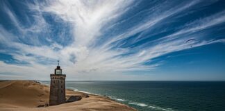 Do czego uprawnia kategoria 2ż?