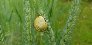 Jak domowym sposobem uszczelnić oponę na feldze?