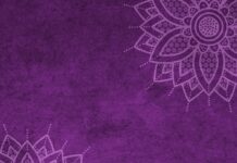 Ile wynosi mandat za przejście nie na pasach? Ile wynosi mandat za przejście nie na pasach?